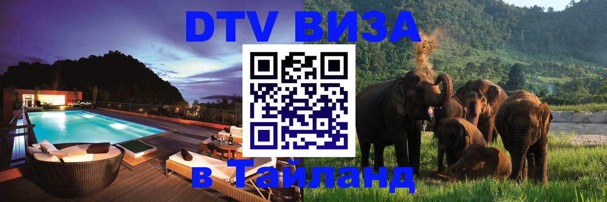 Оформление DTV визы под ключ: стоимость и тарифы, только загранпаспорт - 03.10.2025 